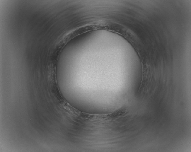 X0000067350773200604212000