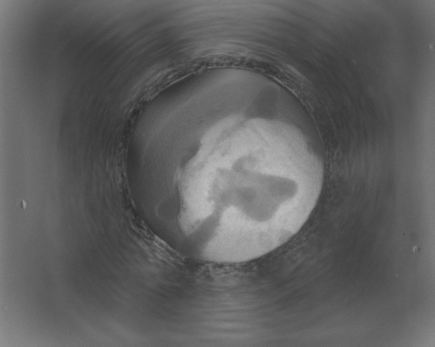 X0000067350774200604212000