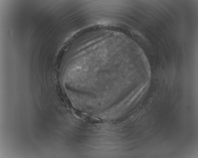 X0000067350776200604212000