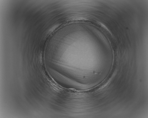 X0000067350777200604212000