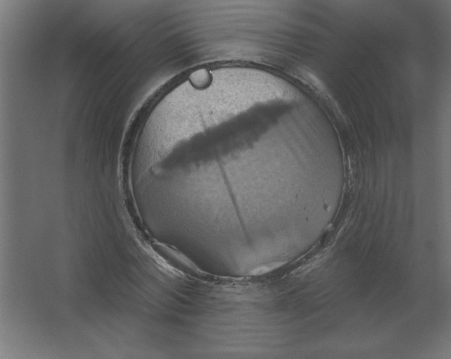 X0000067350780200604212000