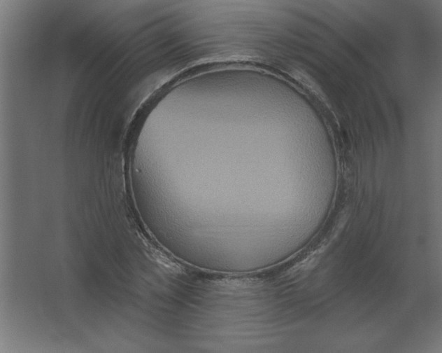 X0000067350781200604212000