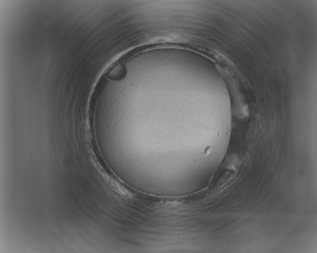 X0000067350784200604212000