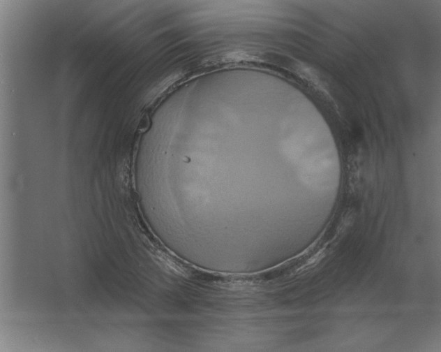 X0000067350785200604212000