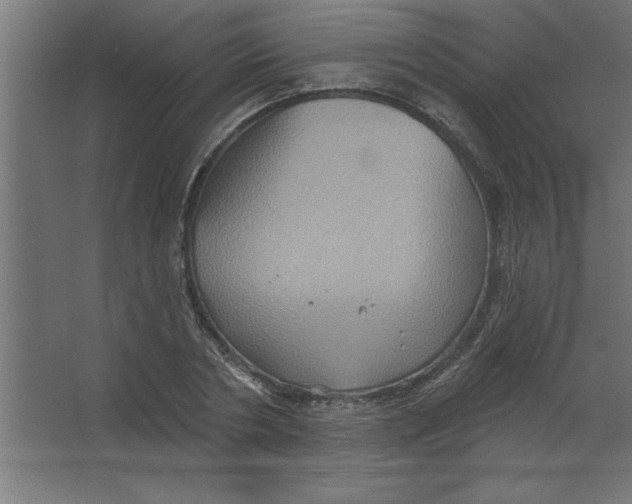 X0000067350786200604212000