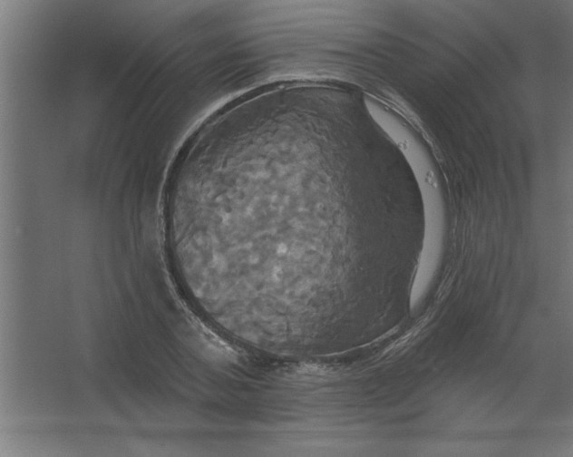 X0000067350787200604212000