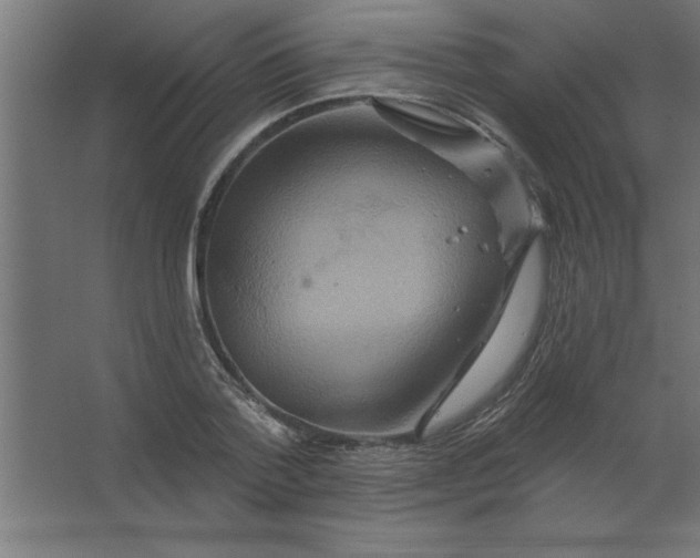 X0000067350788200604212000