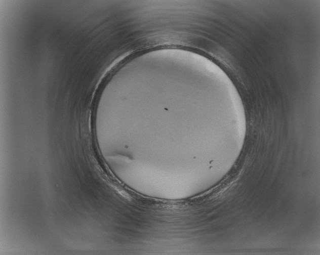 X0000067350790200604212000