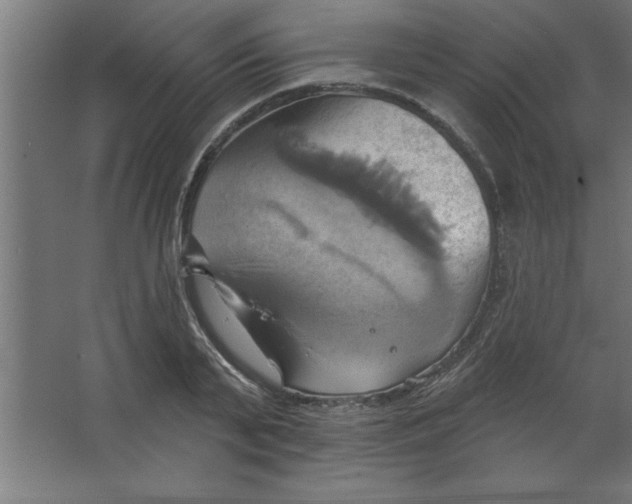 X0000067350791200604212000