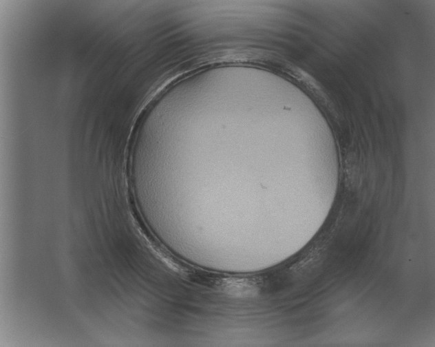 X0000067350794200604212000