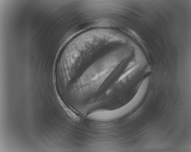 X0000067350795200604212000