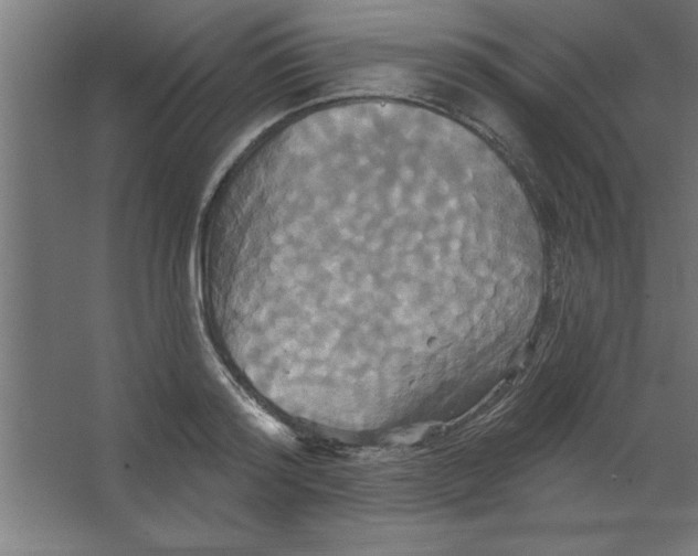 X0000067350796200604212000