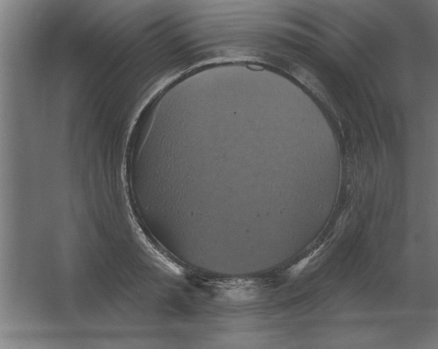 X0000067350797200604212000