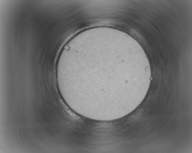 X0000067350800200604212000