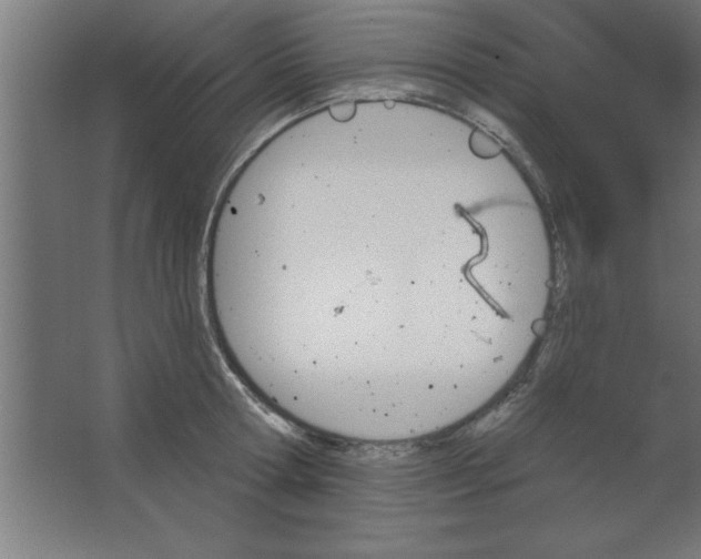 X0000067350802200604212000