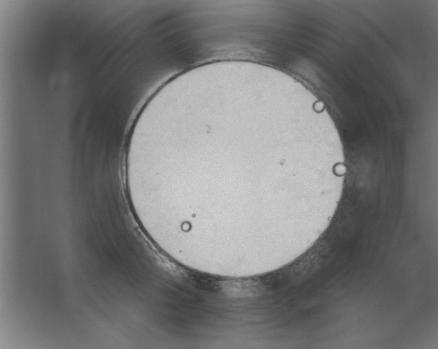 X0000067350804200604212000