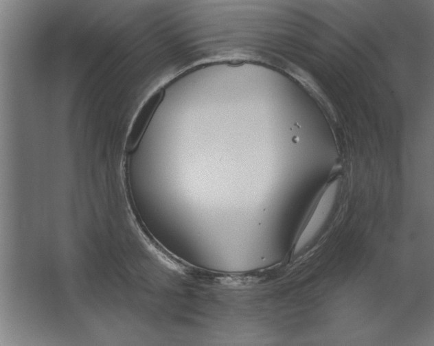 X0000067350805200604212000