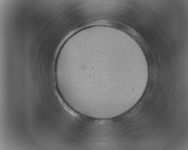 X0000067350808200604212000