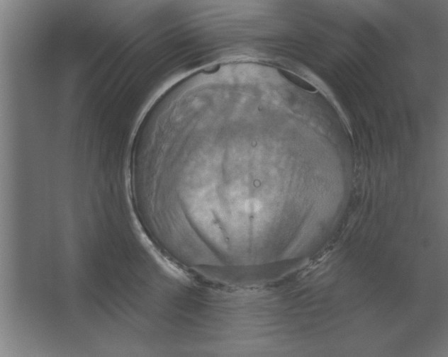 X0000067350811200604212000