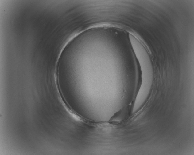 X0000067350813200604212000