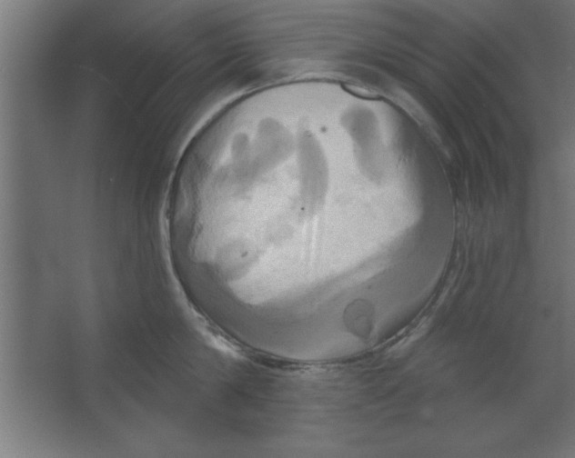 X0000067350814200604212000