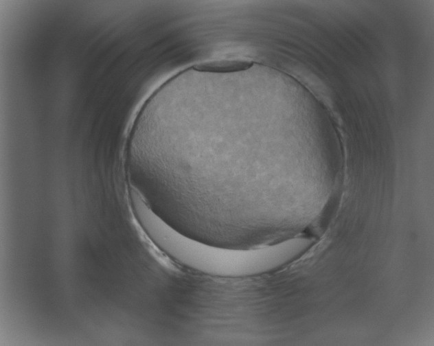 X0000067350816200604212000