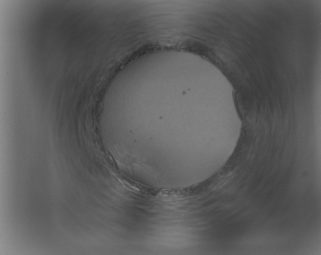 X0000067350817200604211959