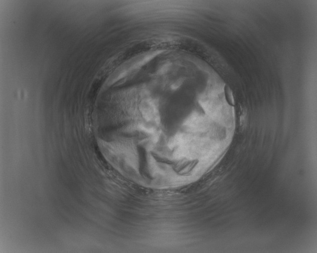 X0000067350819200604211959