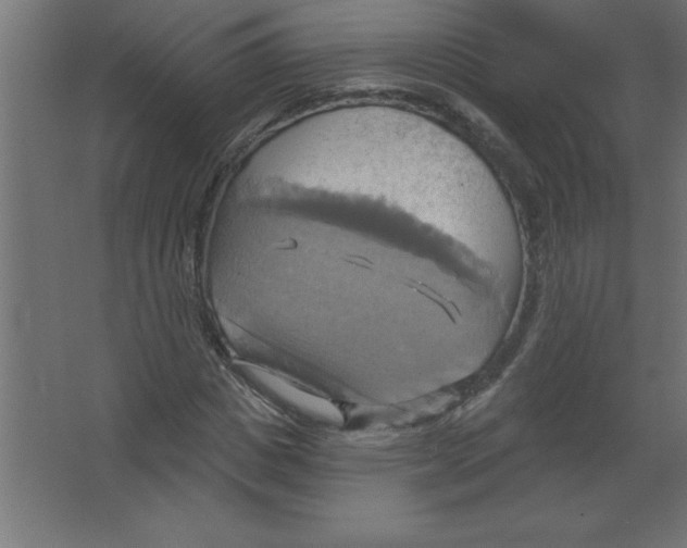 X0000067350825200604211959