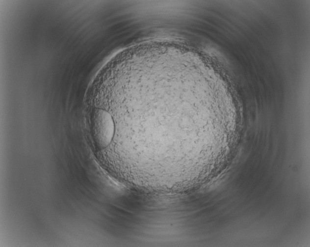 X0000067350828200604211959