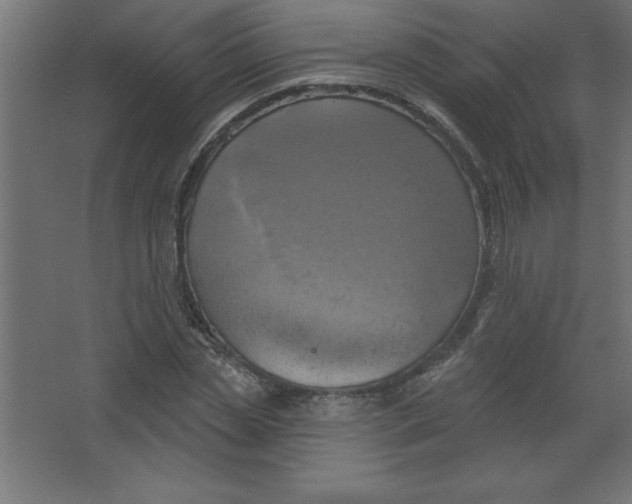 X0000067350829200604211959