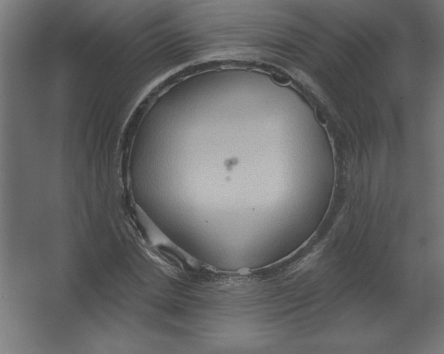 X0000067350830200604211959