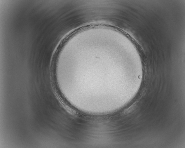 X0000067350832200604211959