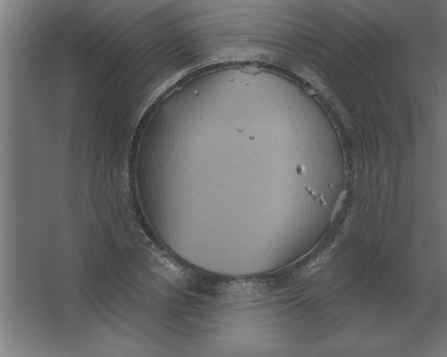 X0000067350834200604211959