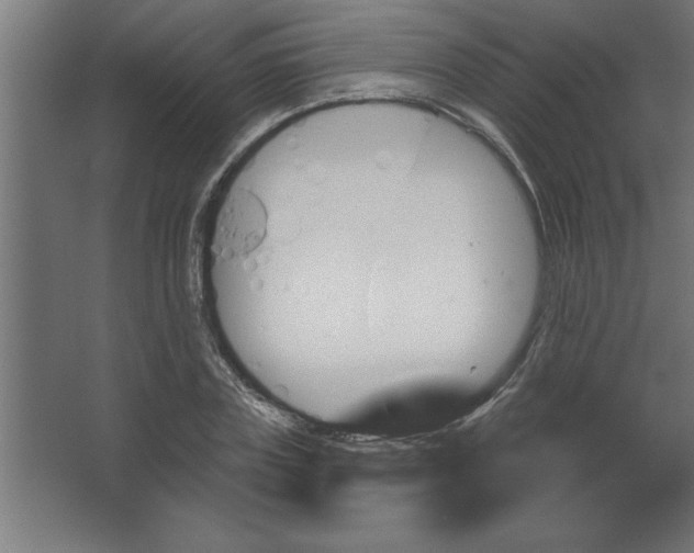 X0000067350835200604211959