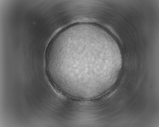 X0000067350837200604211959