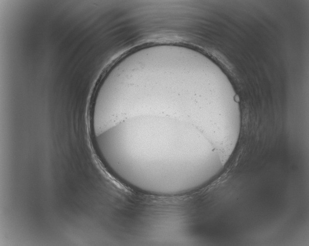 X0000067350840200604211959