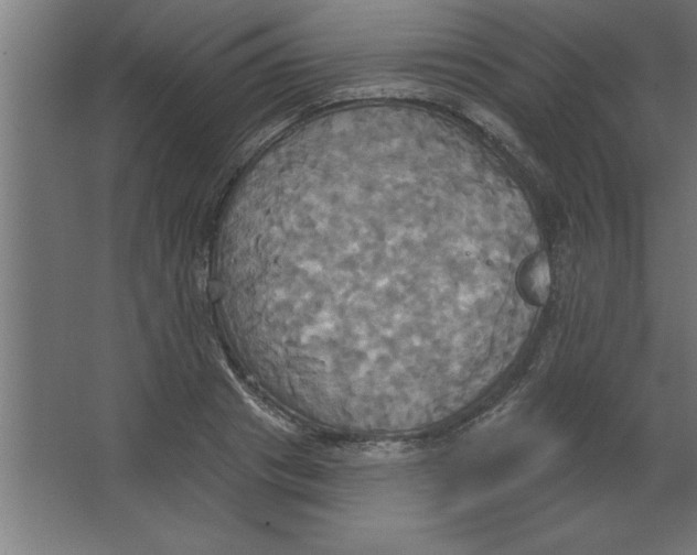 X0000067350841200604211959