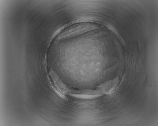 X0000067350842200604211959