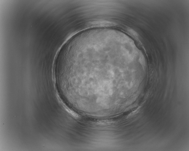 X0000067350843200604211959