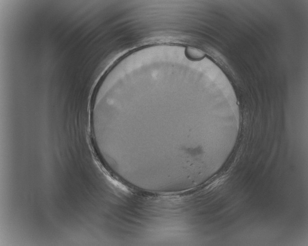 X0000067350844200604211959