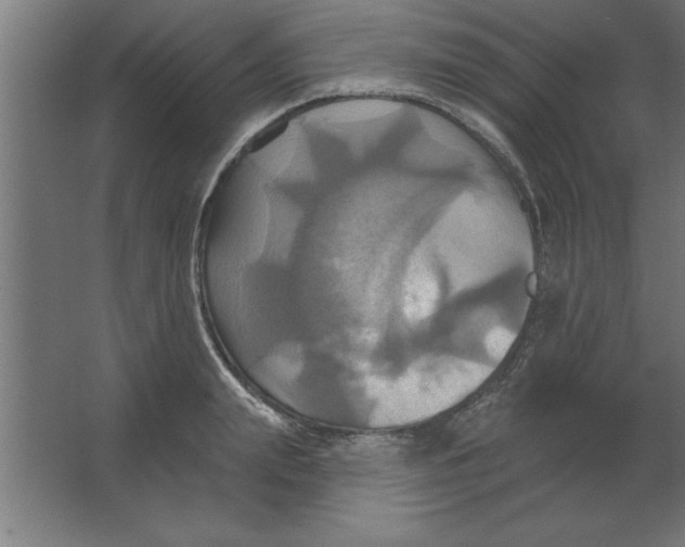 X0000067350847200604211959