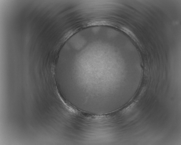 X0000067350849200604211959