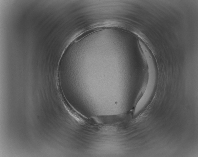 X0000067350850200604211959