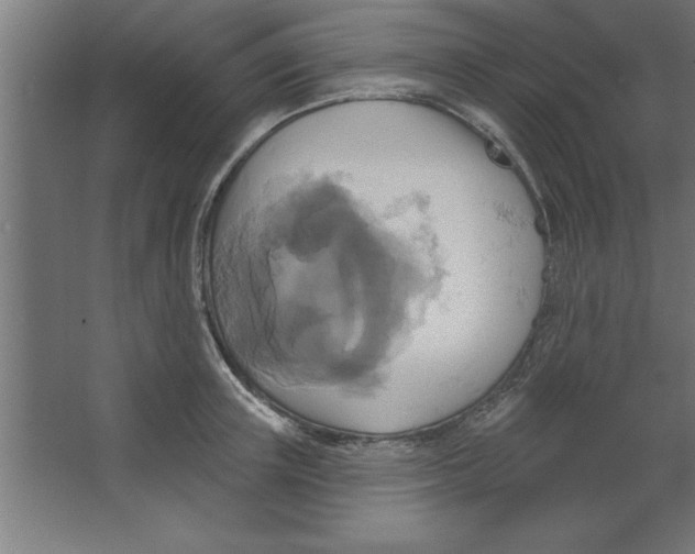 X0000067350851200604211959