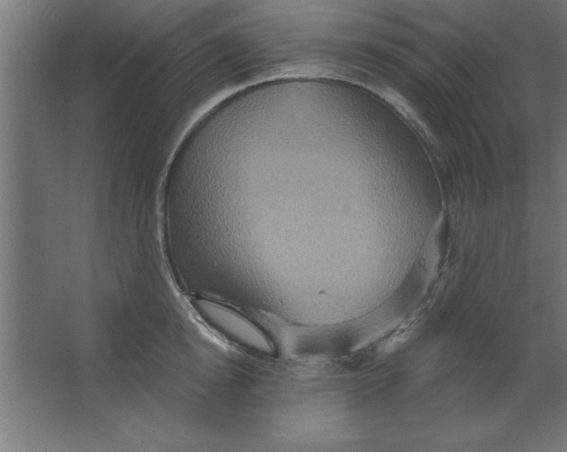 X0000067350854200604212000