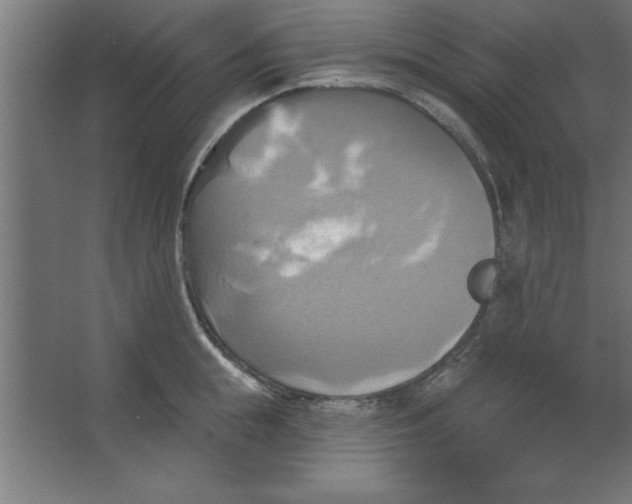 X0000067350855200604212000