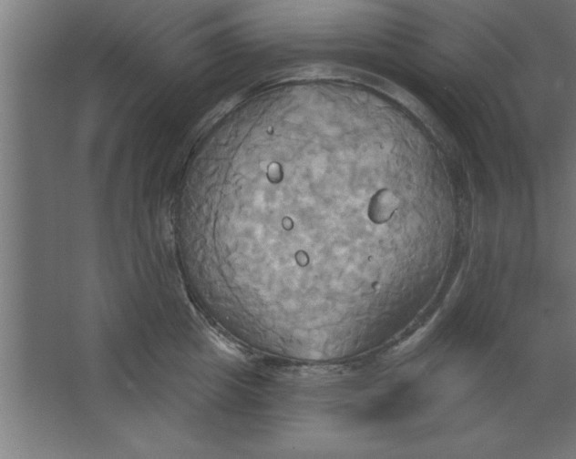 X0000067350857200604212000