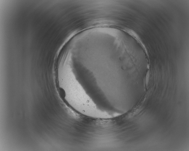 X0000067350859200604212000