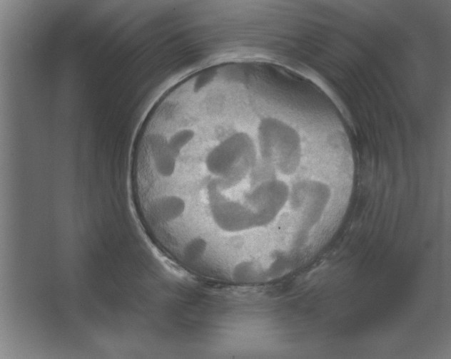 X0000067350861200604212000